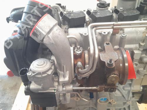 Engine SEAT LEON (5F1)  | BP17153251M1 
