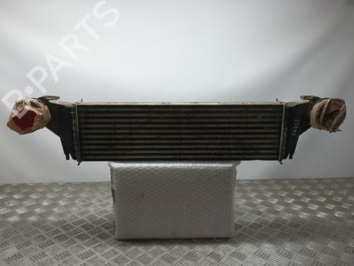 Intercooler BMW X5 (E53) [2000-2006]  10037801