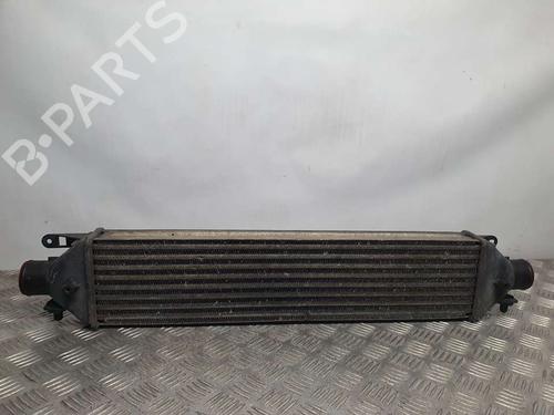 Intercooler FIAT BRAVO II (198_)  | BP7546558M30 