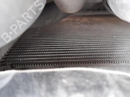 Used Water radiator OPEL ZAFIRA / ZAFIRA FAMILY B (A05) 1.9 CDTI (M75) (120 hp) 29446243