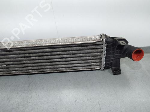 Intercooler FORD FOCUS II (DA_, HCP, DP)  | BP16368945M30 