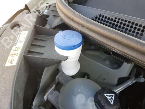 Used Windscreen washer tank PEUGEOT EXPERT Van (V_) 1.5 BlueHDi 120 (120 hp) 29463596