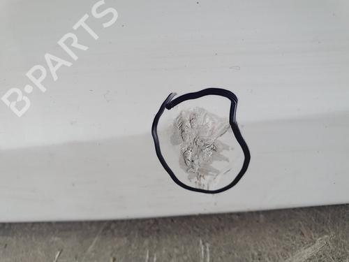 Tailgate LAND ROVER RANGE ROVER EVOQUE (L538)  | BP13894886C6 