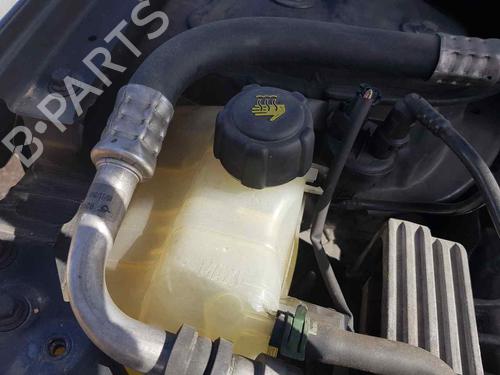 Used Expansion tank RENAULT MEGANE III Hatchback (BZ0/1_, B3_) [2008-2025]  20856648