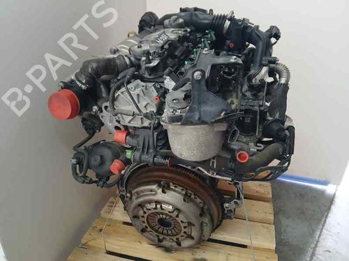 Engine FORD FIESTA VI (CB1, CCN)  | BP15558339M1 
