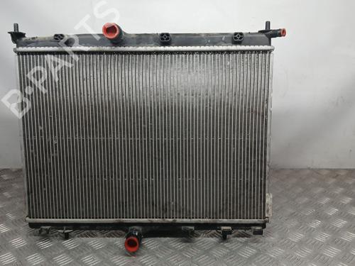 Used Water radiator PEUGEOT 2008 II (UD_, US_, UY_, UJ_, UR_, UC_) 1.5 BlueHDI 100 (102 hp) 30028034