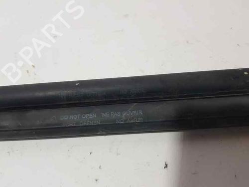 Tailgate lift support FORD FIESTA VI (CB1, CCN)  | BP14012600C138 