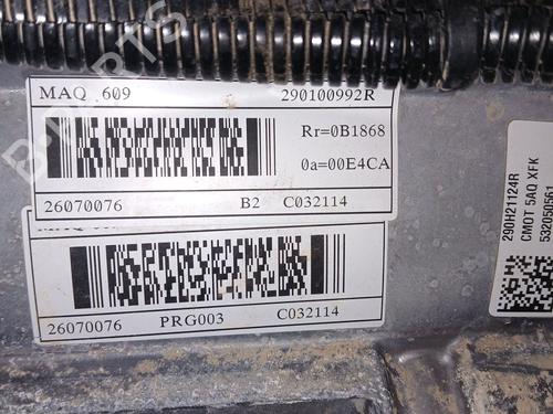 Engine RENAULT KANGOO III Box Body/MPV E-Tech Electric (FJJA) | BP31904654M1 