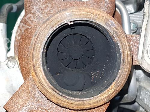 Engine NISSAN MICRA V (K14)  | BP17769339M1 