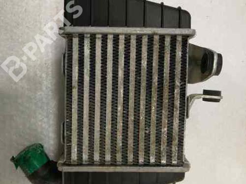 Intercooler HYUNDAI GETZ (TB)  | BP863969M30 