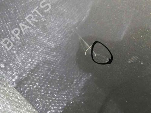 Hood RENAULT MEGANE II (BM0/1_, CM0/1_)  | BP7022580C1 