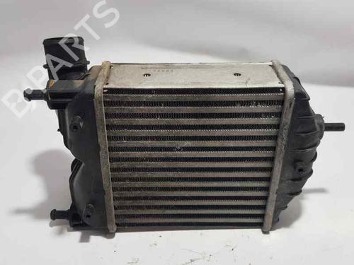 Intercooler LANCIA MUSA (350_) 1.9 D Multijet (350.AXC1A) | BP3731703M30 