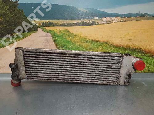 Used Intercooler RENAULT MEGANE II Saloon (LM0/1_) [2003-2025]  4621034