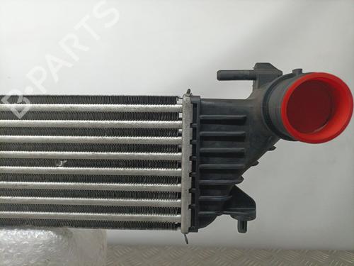 Intercooler FIAT TIPO Estate (356_, 357_)  | BP13751145M30 