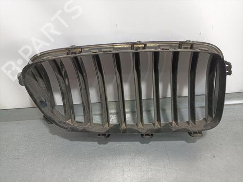 Grille BMW 5 (F10) 520 d | BP8058232C40 