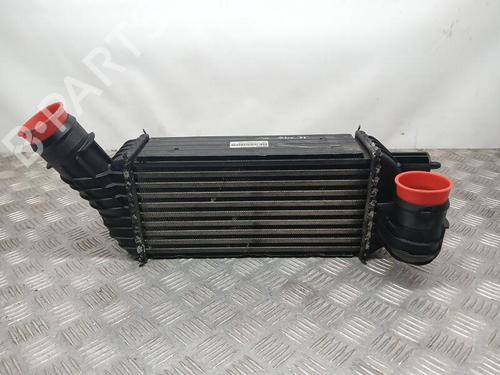 Used Intercooler PEUGEOT RCZ 2.0 HDi (163 hp) 25742031