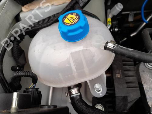 Expansion tank FIAT PANDA (312_, 319_) 1.0 Mild Hybrid (312.PYD1B) 51956876