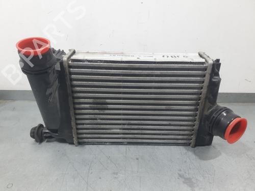 Used Intercooler Intercooler NISSAN QASHQAI II (J11, J11_) 1.5 dCi (110 hp) 29248269 29248269
