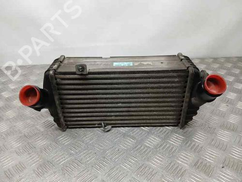 Used Intercooler HYUNDAI i20 II (GB, IB) 1.1 CRDi (75 hp) 21129422
