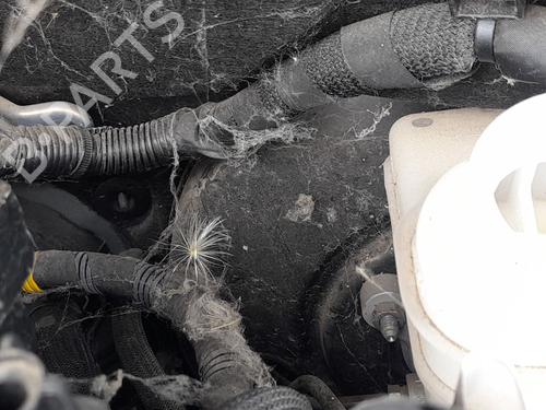 Bremseservo JEEP COMPASS (MP, M6, MV, M7) 1.3 (131 hp) 31622689