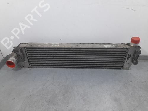 Used Intercooler RENAULT MEGANE II (BM0/1_, CM0/1_) 2.0 dCi (BM1K, CM1K) (150 hp) 32858941