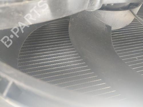 Køler RENAULT KANGOO Express (FW0/1_) Z.E. (FW0Z, FW1Z) (60 hp) 24677864