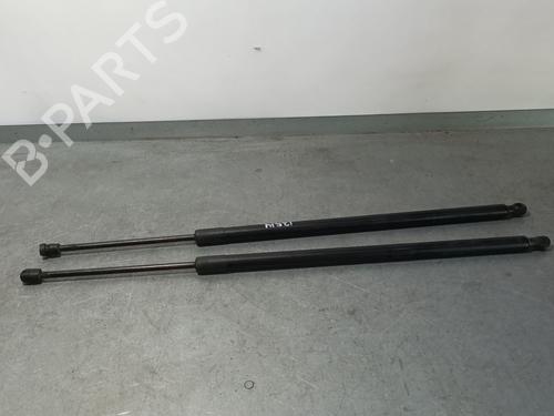 Gasdæmper bagklap Gasdæmper bagklap FORD KUGA II (DM2) 2.0 TDCi (120 hp) 14012923 14012923