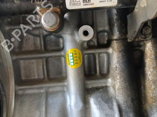 Engine FORD FOCUS III 1.6 TDCi | BP26277106M1