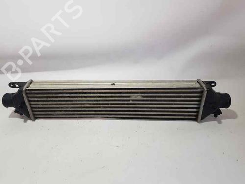 Intercooler FIAT DOBLO Cargo (263_)  | BP7263243M30 