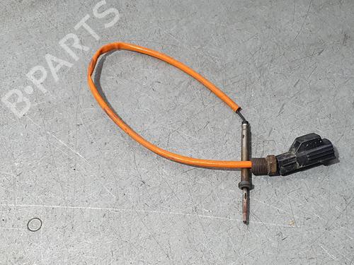 Used Electronic sensor LAND ROVER RANGE ROVER SPORT I (L320) 3.0 D 4x4 (256 hp) 12500704