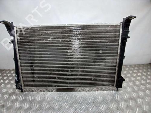 Water radiator FIAT DOBLO Cargo (263_) | BP19266833M31