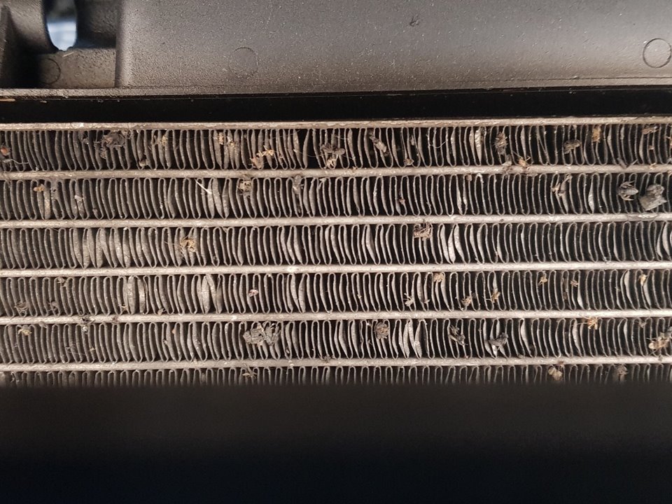 Water radiator PEUGEOT BOXER Van 10313022 | B-Parts