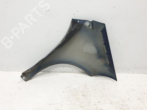 Left front fenders MERCEDES-BENZ A-CLASS (W169) A 180 CDI (169.007, 169.307) | BP28163614C41 