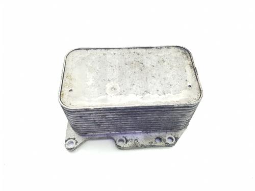 Used Oil radiator Oil radiator RENAULT MASTER III Van (FV) 2.3 dCi 110 FWD (FV0R, FV0W, FV1A) (110 hp) 33653019 33653019