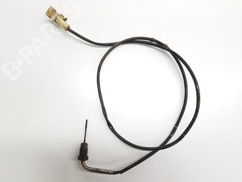 Electronic sensor FIAT DUCATO Van (250_) | BP31051370M84