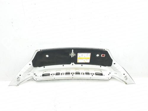 Hood FIAT DUCATO Platform/Chassis (250_) 130 Multijet 2,3 D | BP31631137C1