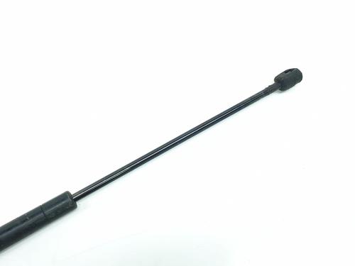 Hood lift support MINI MINI (R50, R53) Cooper | BP16496214C139 