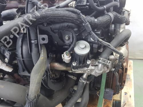 Engine FORD TRANSIT V363 Van (FCD, FDD)  | BP29589786M1 