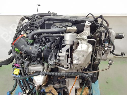 Engine RENAULT TRAFIC III Bus (JG_) 1.6 dCi 115 (JGMD) | BP33964676M1  - Image 5