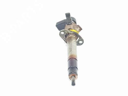 Injector LAND ROVER DISCOVERY III (L319) 2.7 TD 4x4 | BP24597903M100 