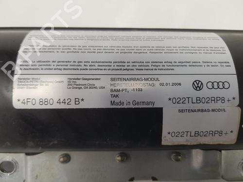 Electronic module AUDI A6 C6 (4F2) 3.0 TDI quattro | BP17171930M83 