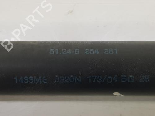 Tailgate lift support BMW 3 Coupe (E46) 330 Cd | BP14095236C138 