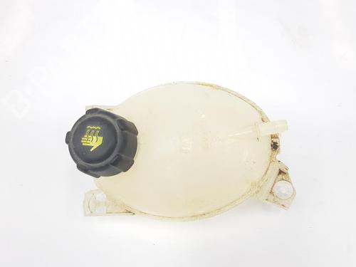 Expansion tank DACIA DOKKER MPV (KE_) 1.6 LPG 217107259R   | 217107259R   |