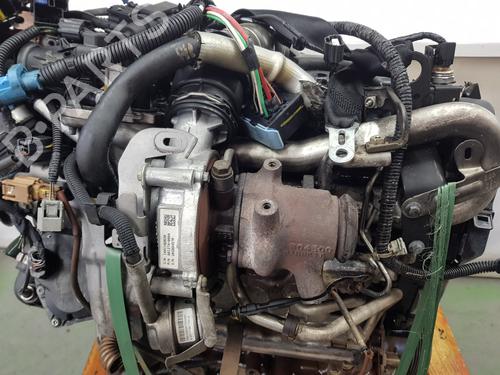 Engine DACIA DOKKER Box Body/MPV 1.5 dCi (FEAJ) | BP30082909M1