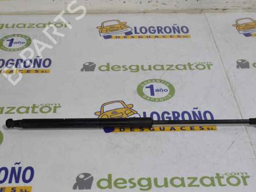 Tailgate lift support BMW 1 (F20) 118 d | BP14120665C138