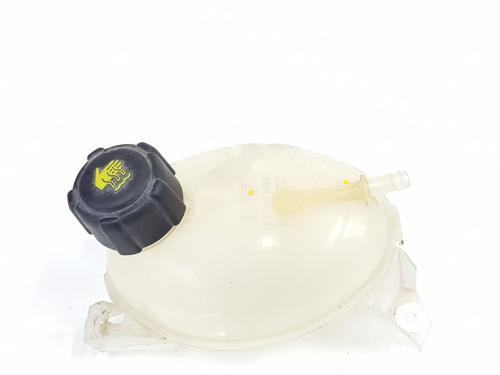 Used Expansion tank DACIA SANDERO II 1.5 dCi (90 hp) 25028144