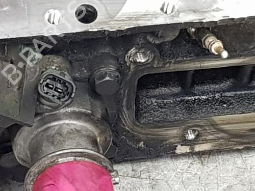 Cylinder head FIAT DUCATO Van (250_) 150 Multijet 2,3 D | BP28502749M5