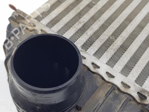 Intercooler RENAULT KANGOO / GRAND KANGOO II (KW0/1_) | BP32453406M30