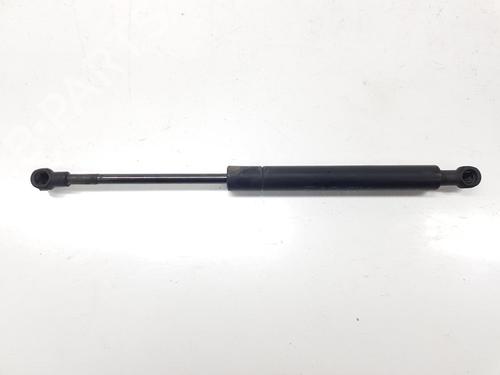 Hood lift support BMW 3 Coupe (E46) 320 Cd | BP14102675C139