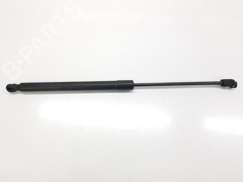 tailgate-lift-support-audi-q5-8rb-2008-2009-2010-2011-2012-2013-2014-2015-2016-2017-2018-2019-32144247 main image